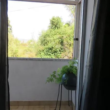 Apartment Coimbra Jasmin House *
